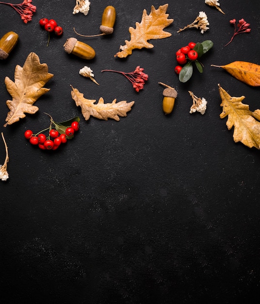 Vue de dessus des éléments d'automne avec espace copie