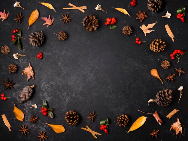 Photo gratuite vue de dessus des éléments d'automne avec des pommes de pin et des feuilles