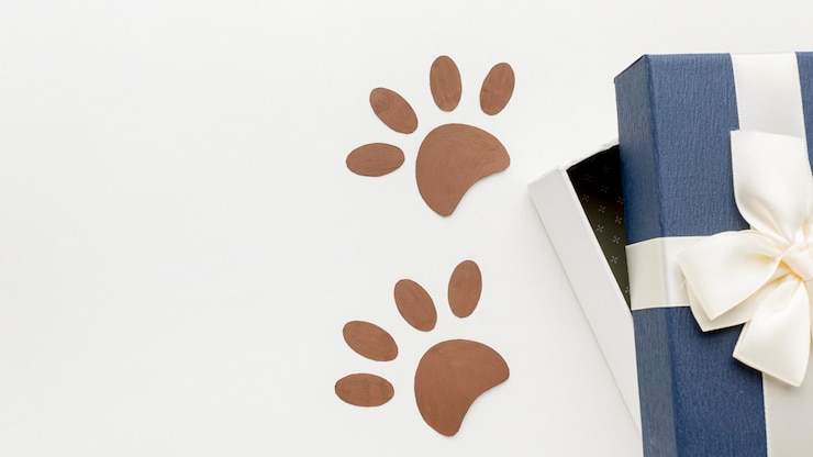 Photo gratuit vue de dessus des empreintes de pattes avec cadeau pour la journée des animaux