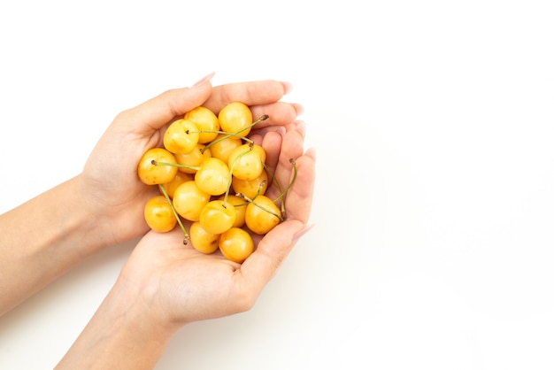 Une vue de dessus femelle tenant des cerises fruits moelleux et sucrés sur blanc, couleur des fruits d'été