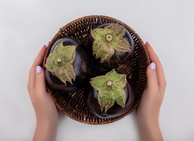 Vue de dessus femme tenant l'aubergine noire dans un panier sur fond blanc