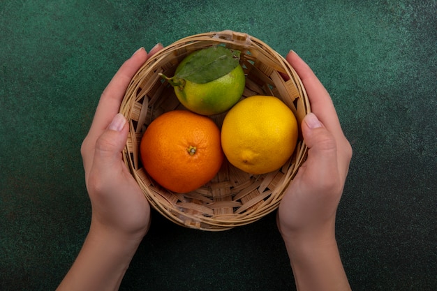 Vue de dessus femme tenant panier avec citron orange et citron vert sur fond vert