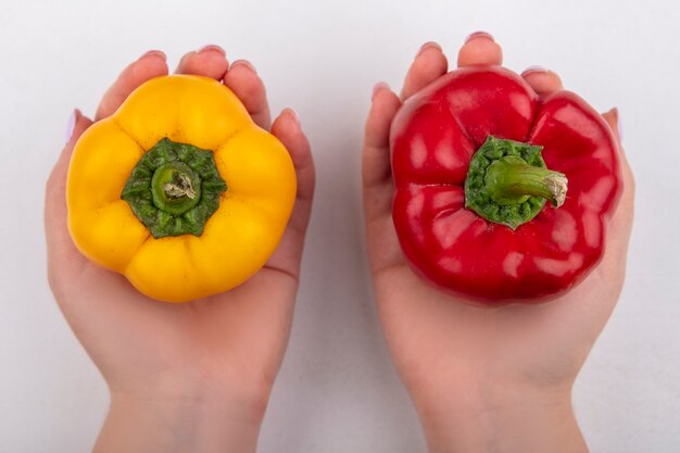 Vue de dessus femme tenant des poivrons de couleur jaune et rouge dans les mains sur fond blanc