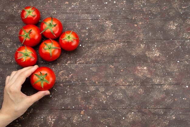 Vue de dessus femme tenant des tomates mûres et des légumes frais sur brown