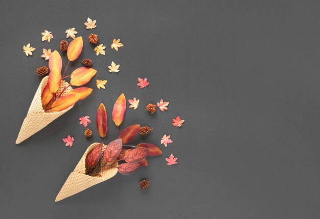 Vue de dessus des feuilles d&#39;automne dans les cornets