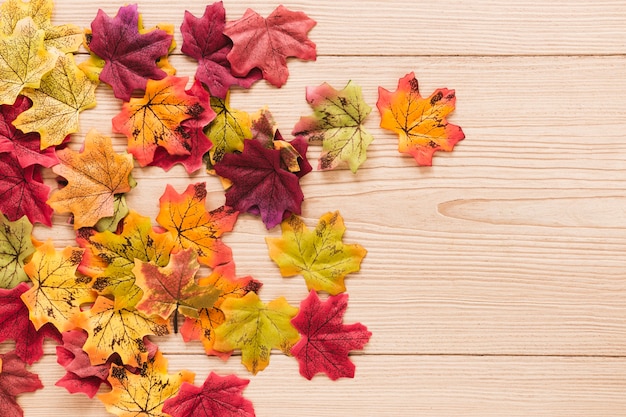 Vue de dessus des feuilles d&#39;automne avec espace de copie