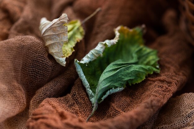 Vue de dessus des feuilles d'automne séchées sur une table marron foncé