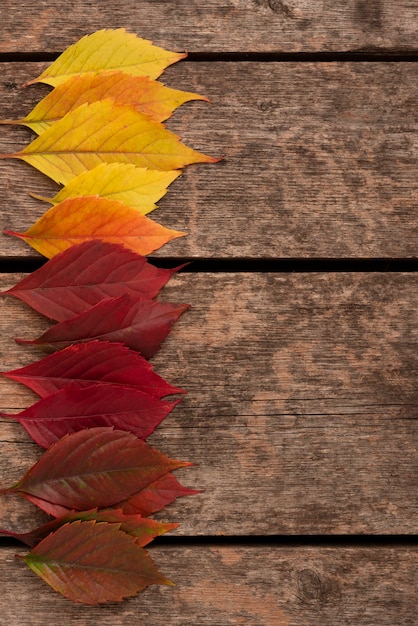 Vue de dessus des feuilles colorées d'automne avec espace copie