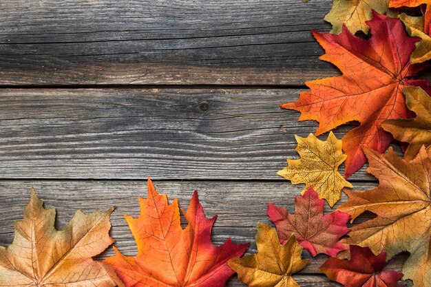 Vue de dessus avec feuilles colorées et espace de copie