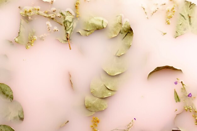 Vue de dessus des feuilles dans l'eau colorée rose pâle