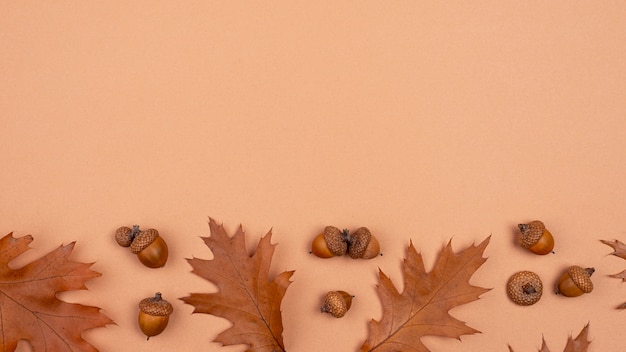 Photo gratuite vue de dessus des feuilles monochromes avec espace copie