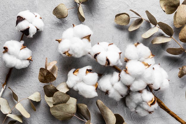 Vue de dessus feuilles sèches avec du coton