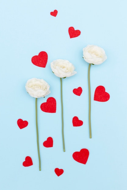 Vue de dessus des fleurs et des coeurs de la Saint-Valentin