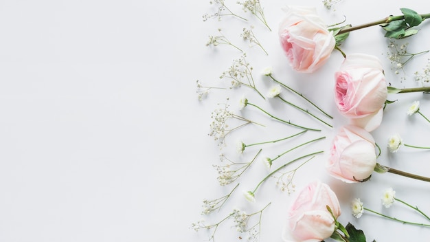 Photo gratuite vue de dessus des fleurs et des feuilles