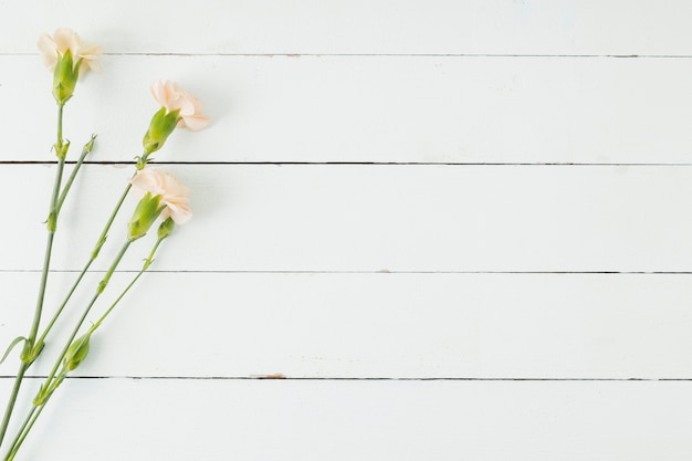 Vue de dessus des fleurs sur un fond en bois avec espace de copie