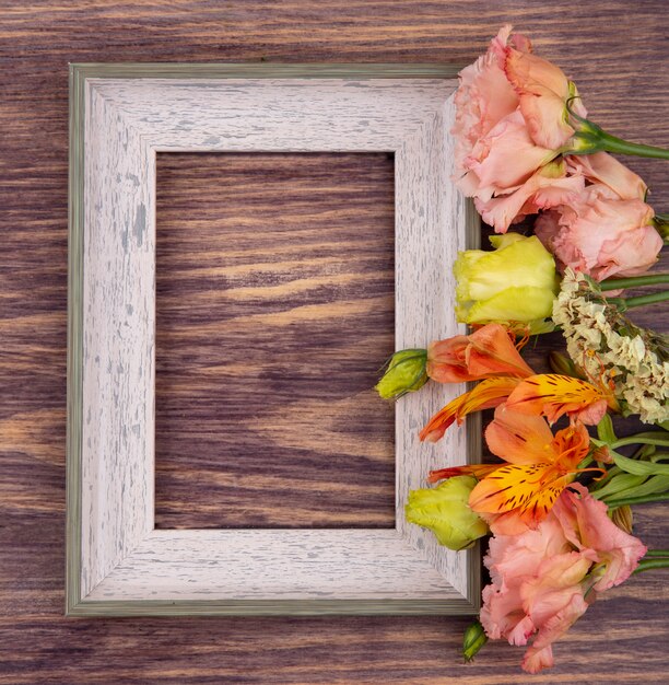 Photo gratuite vue de dessus de fleurs fraîches et merveilleuses colorées sur bois