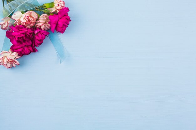 Vue de dessus de fleurs fraîches