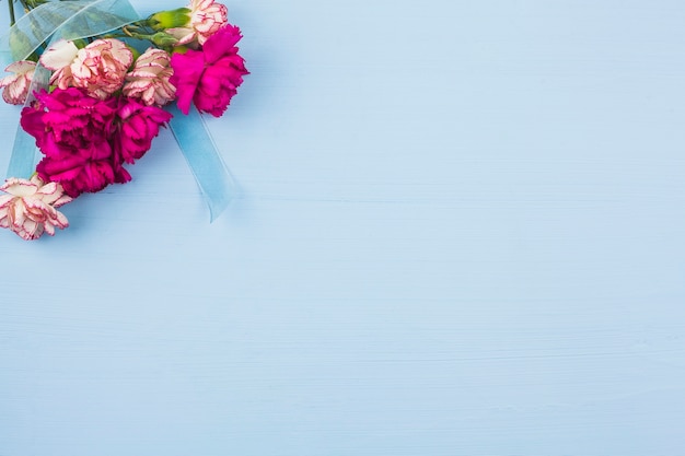 Vue de dessus de fleurs fraîches