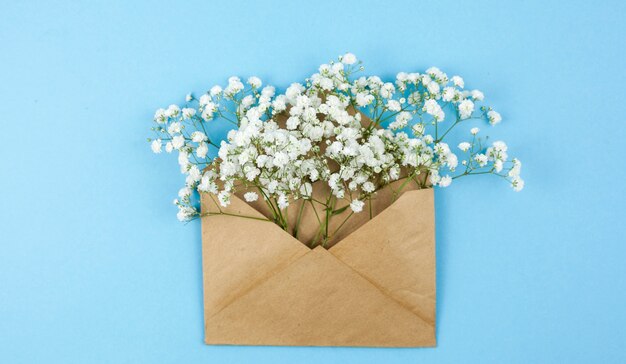 Vue de dessus des fleurs d&#39;haleine de bébé sur une enveloppe brune