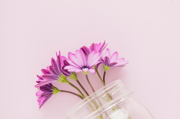 Vue de dessus des fleurs à l&#39;intérieur du bocal en verre