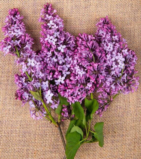 Vue de dessus des fleurs lilas isolés sur fond de texture d'un sac