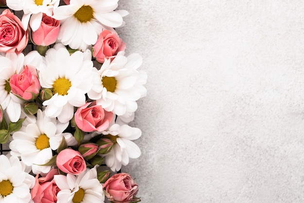 Photo gratuite vue de dessus de fleurs magnifiquement colorées avec espace de copie