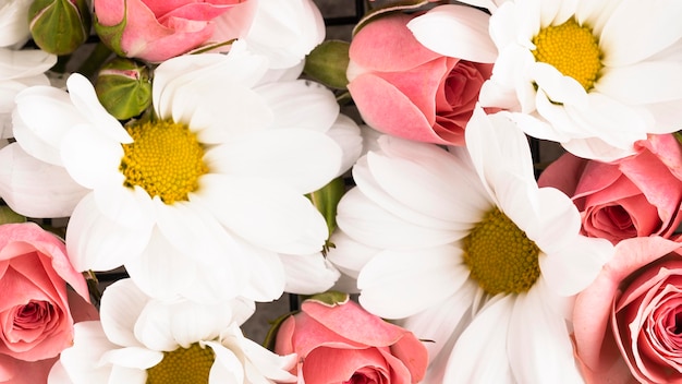 Vue de dessus de fleurs magnifiquement colorées