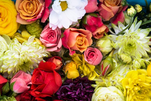 Vue de dessus de fleurs magnifiquement colorées