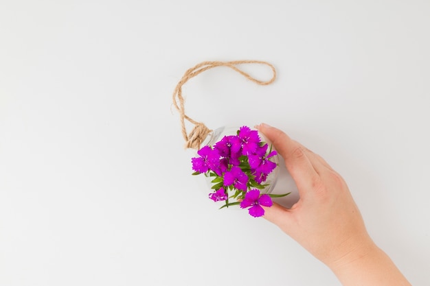Photo gratuite vue de dessus des fleurs avec les mains