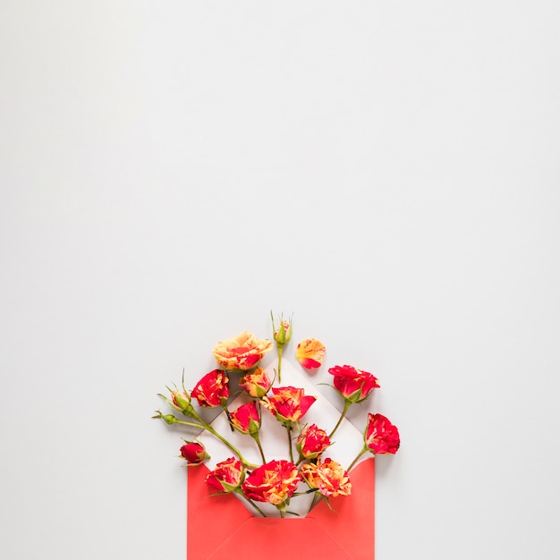 Vue de dessus des fleurs de printemps dans une enveloppe avec copie espace