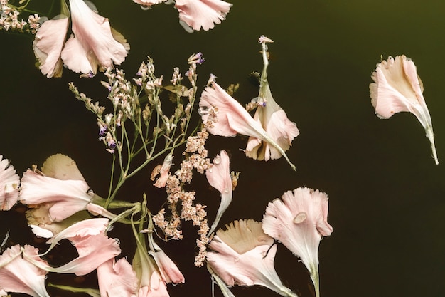 Vue de dessus des fleurs rose pâle dans l'eau noire