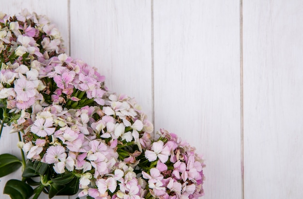 Vue de dessus des fleurs sur une surface blanche