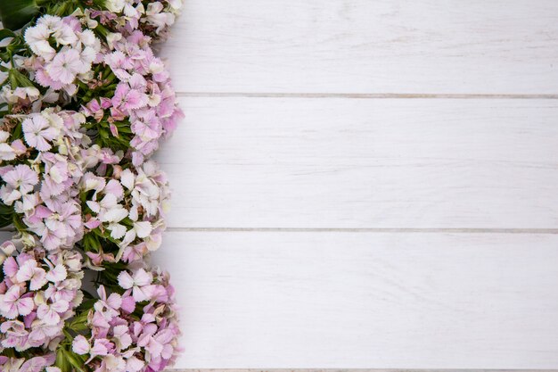 Vue de dessus des fleurs sur une surface blanche