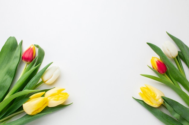 Vue de dessus fleurs de tulipes