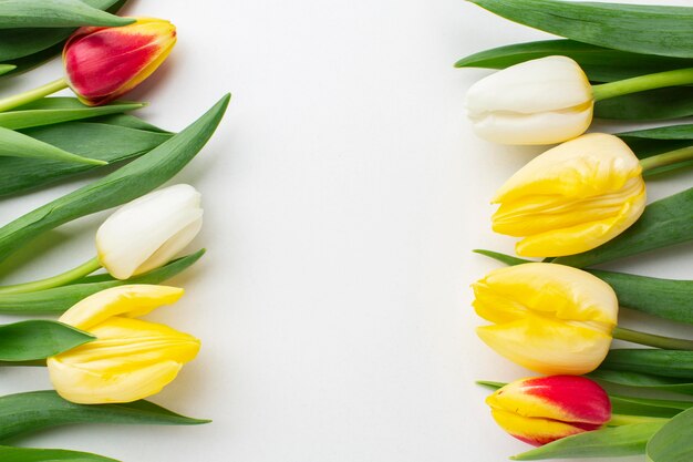 Vue de dessus fleurs de tulipes