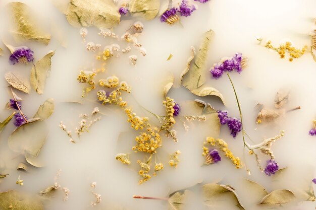 Vue de dessus des fleurs violettes dans de l'eau de couleur blanche