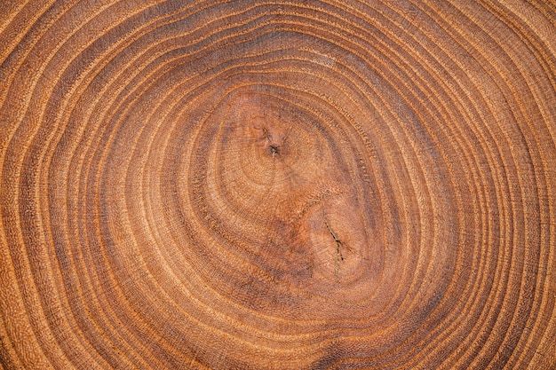 Vue de dessus fond en bois