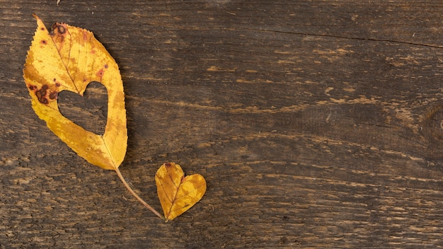 Vue de dessus en forme de coeur feuilles sur fond en bois