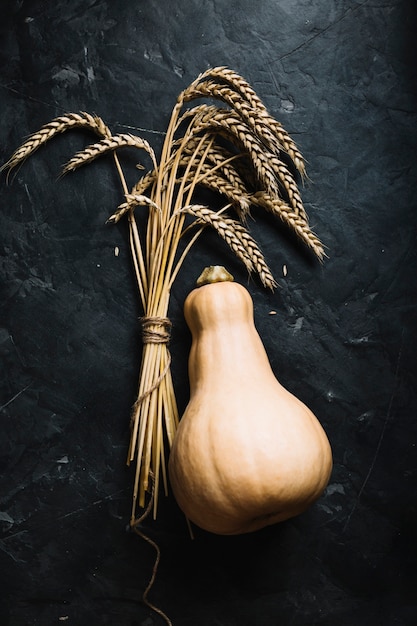 Vue de dessus frais courge butternut et grains