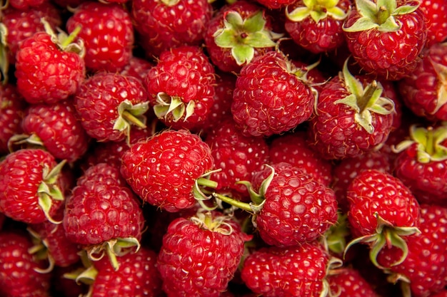 Vue de dessus des framboises rouges fraîches sur fond gris