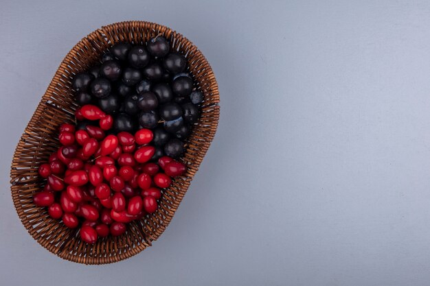 Vue de dessus des fruits comme cornouiller et baies de prunelle dans le panier sur fond gris avec espace copie