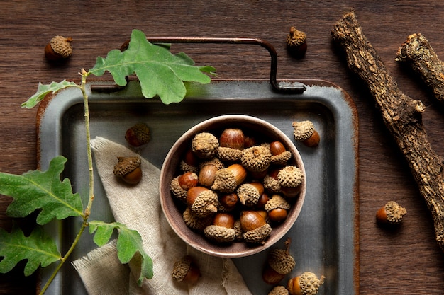 Photo gratuite vue de dessus des glands nature morte