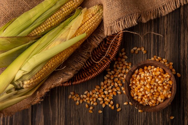 Vue de dessus des grains de maïs frais biologiques sur un bol en bois avec des grains frais sur un seau avec des grains isolé sur une table en bois