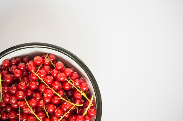 Photo gratuite une vue de dessus de groseilles rouges fraîches dans le bol sur fond blanc