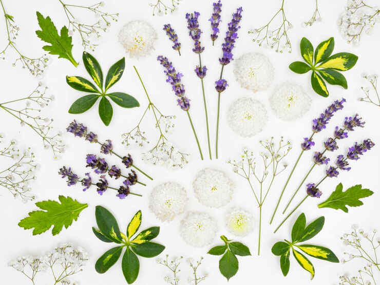 Photo gratuit vue de dessus groupe de feuilles et de fleurs
