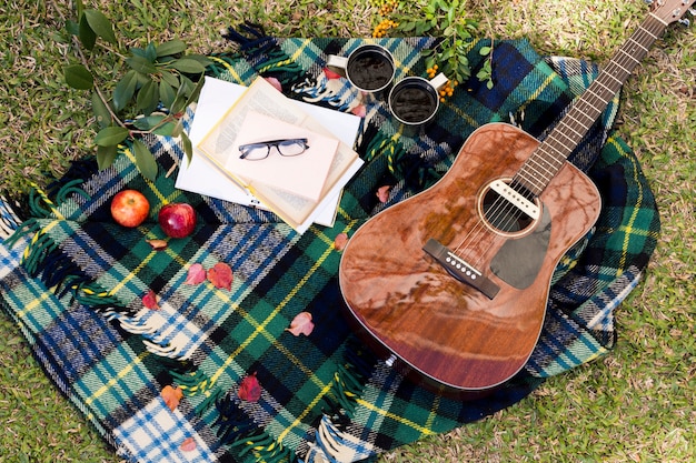 Photo gratuite vue de dessus guitare sur pique