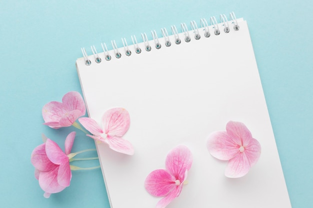 Vue de dessus hortensia rose sur cahier vierge