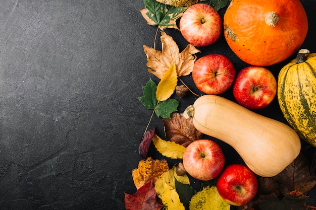 Photo gratuite vue de dessus des légumes et des feuilles mûres