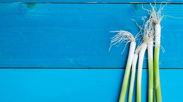 Photo gratuite vue de dessus des légumes sur fond bleu