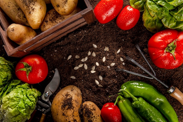 Vue de dessus des légumes avec des graines et de la salade